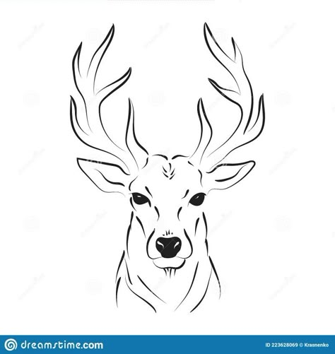 Buck Deer Drawing, Deer Head Drawing Easy, Reindeer Drawing Realistic, Draw Deer Easy, Deer Drawings Easy, Animal Head Outline, Elk Drawing Sketch, How To Draw A Deer Head, Elk Drawing Easy