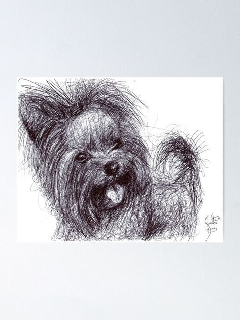 Scribble Art, Drawing Poster, Dog Drawing, Terrier Dog, Art Sketch, Yorkshire Terrier, Ballpoint Pen, Art Sketches, Yorkshire