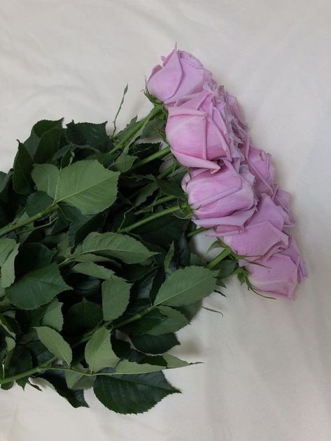 Lavender Aesthetic, Lilac Roses, Nothing But Flowers, Flower Therapy, Lavender Roses, Luxury Flowers, Beautiful Bouquet Of Flowers, Lilac Flowers, My Mouth