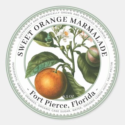 Jelly Label with Vintage Orange Illustration - Popular Zazzle Product! Best choice, tags :#invitations, #tshirt, #card, #InvitationsCard, #legging, #trending, #holiday Circle Label Design, Tea Label Design, Round Label Design, Food Label Design, Label Design Ideas, Fruit Logo Design, Orange Illustration, Fruit Company, Fruit Logo