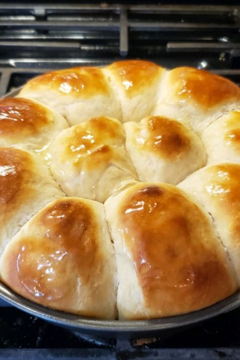 Quick Yeast Rolls | "Oh my goodness!!! These are the best rolls I've ever made!" #christmas #christmasrecipes #holidays #holidayrecipes Yeast Bread, Quick Yeast Rolls, Homemade Yeast Rolls, Thanksgiving Side Dishes Easy, Freshly Baked Bread, Candied Sweet Potatoes, Easy Rolls, Yeast Bread Recipes, Yeast Rolls