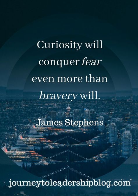 Crush Stuff, Conquer Fear, Conquering Fear, Quote Of The Week, Lifestyle Blogs, Leadership Quotes, Overcoming Fear, The Hard Way, Career Advice