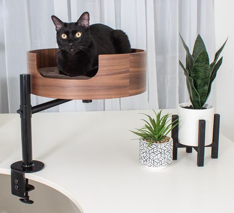 Introducing Desk Nest: The Perfect Cat Bed For Your Office! Cat Bed Ideas, Kitty Toys, Working Desk, Cat Patio, Cat Hotel, Cat Flap, Modern Cat Furniture, Cat Plants, Cat Playground