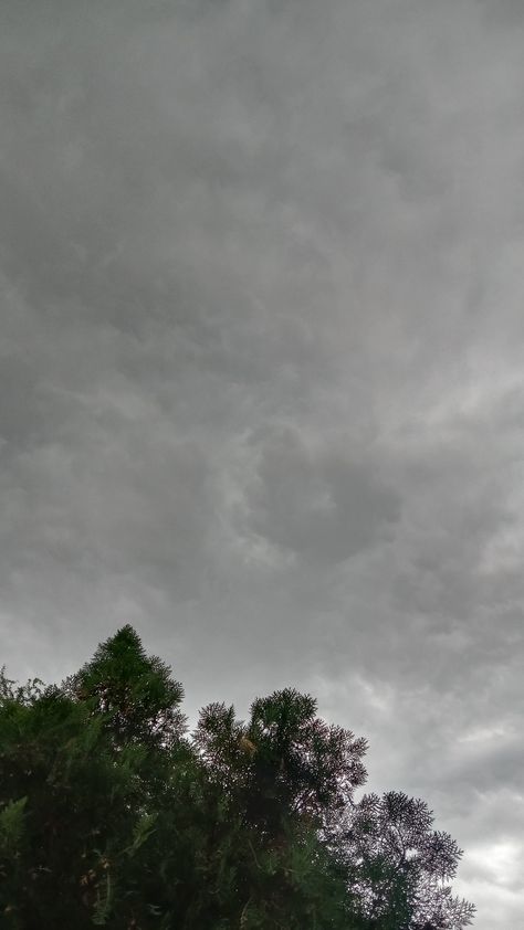 Nature.Tress.Clouds.Wallpaper hd .Rain Aesthetics.Hd photography.Trying to capture Nature, Rain Clouds Aesthetic, Rain Aesthetics, Hd Photography, Clouds Wallpaper, Rain Wallpapers, Clouds Photography, Rain Clouds, Iphone Wallpaper Tumblr Aesthetic