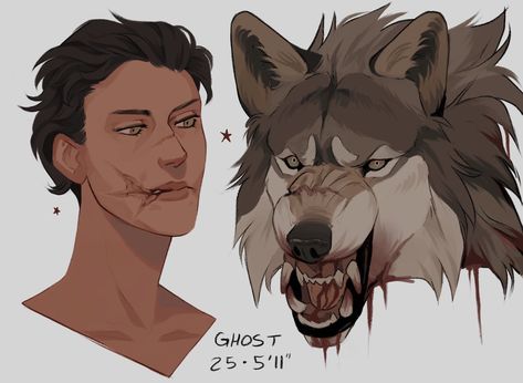 Werewolf Boyfriend, Sally Jackson, Werewolf Girl, Wolf Shifter, Werewolf Aesthetic, Canine Drawing, Wolf Character, Werewolf Art, Chinese Art Girl