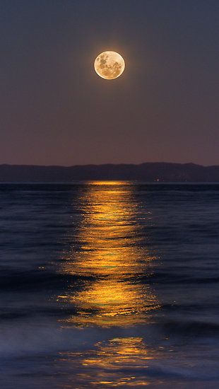 ~~Reflections of a Perigee Moon ~ Super Moon, Burpengary, Australia by Steve Bass~~ Shoot The Moon, Moon Photos, Moon Pictures, Moon Photography, Super Moon, Moon Lovers, The Full Moon, Beautiful Moon, Jolie Photo