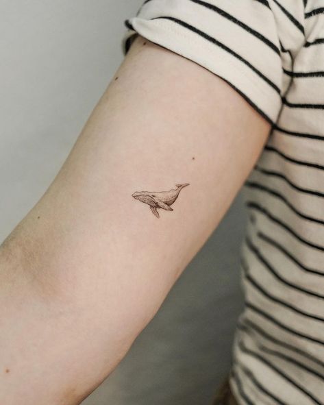 small shark tattoos • Instagram Small Whale Tattoo, Small Shark Tattoo, Whale Shark Tattoo, Tattoos Instagram, Tattoo 2024, Whale Tattoo, Small Shark, Single Needle Tattoo, Whale Tattoos