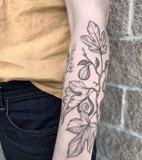 Vine And Fig Tree Tattoo, Fine Line Fig Tattoo, Fig Leaves Tattoo, Fig Plant Tattoo, Fig Tree Tattoo The Bell Jar, Fig Branch Tattoo, Fig Leaf Tattoo, Fig Tree Tattoo, Pear Tattoo