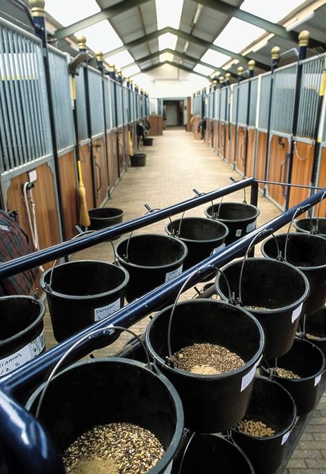 Horse Feed Room, Dream Barn Stables, Horse Tack Rooms, Horse Nutrition, Horse Farm Ideas, Diy Horse Barn, Horse Barn Ideas Stables, Horse Barn Designs, Dream Stables