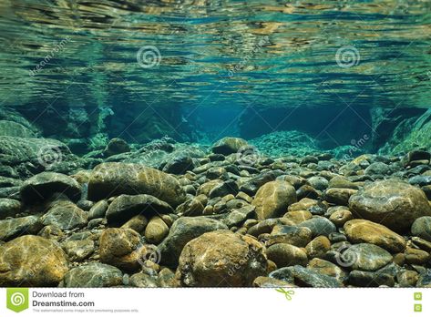 Photo about Rocks underwater on riverbed with clear freshwater, Dumbea river, Grande Terre, New Caledonia. Image of blue, caledonia, freshwater - 82140586 Underwater Rocks, Underwater River, Underwater Wallpaper, Props Design, Under The Water, River Painting, River Bed, Aquarium Design, River Photography