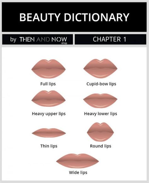 Types of Lip Shapes Different Lips Types, Types Of Lips Shape, Different Lip Shapes, Bow Lips, Cupids Bow Lips, Fashion Illustration Hair, Thick Lips, Draw Lips, Lip Types