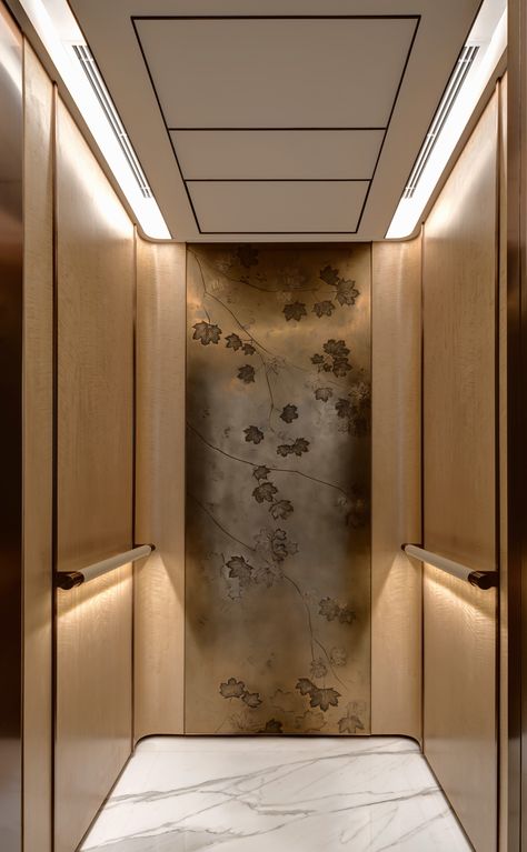 Materials and Detailing – Anterior Design Inside Elevator Design, Residential Lifts Interior Design, Lift Inside Design, Residential Elevator Interior Design, Elevator Cab Design, Lift Design Interior, Elevator Design Interior, Lift Car Design, Lift Interior Design