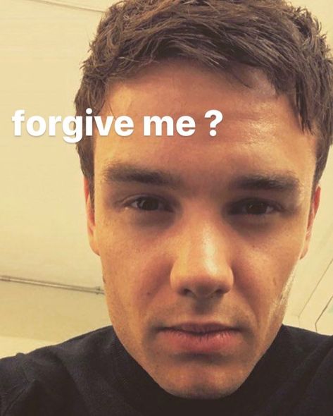 Liam Payne Memes Funny, Liam Payne Meme, Liam James, One Direction Humor, One Direction Memes, Lin Manuel, Funny Reaction Pictures, Lose My Mind, Liam Payne