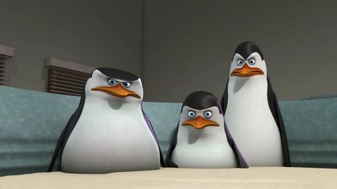 Trio of Skipper, Kowalski and Private (Madagascar) Funny Trio Pictures, Trio Images, Iconic Trios Cartoon, Cartoon Trios, Iconic Trios, Trio Cartoon, Trio Icons, Trio Pics, Madagascar Penguins