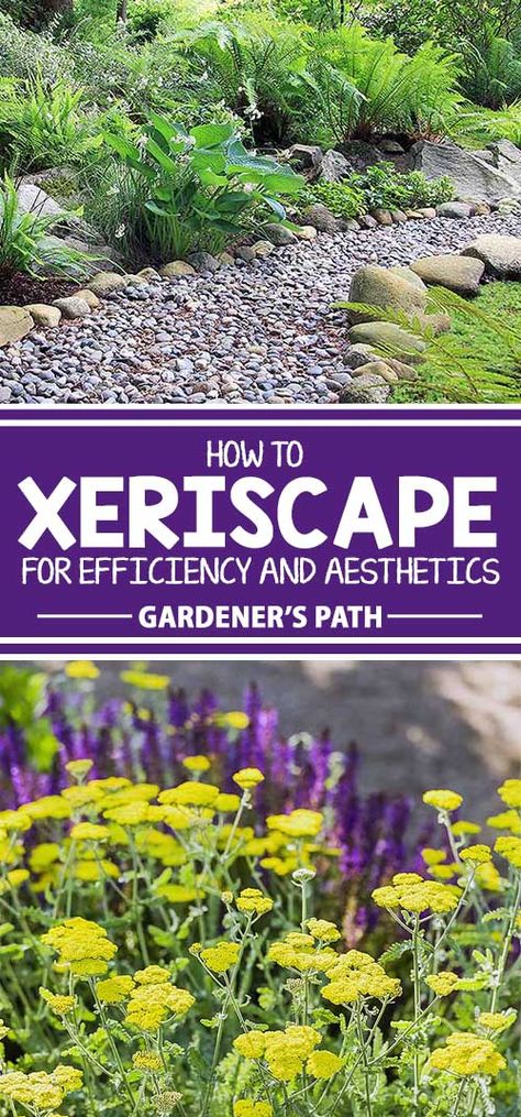 Xeriscape Plants, Xeriscape Front Yard, High Desert Landscaping, Xeriscape Landscaping, Succulent Landscape Design, Desert Climate, Drought Tolerant Landscape, Succulent Landscaping, Desert Garden