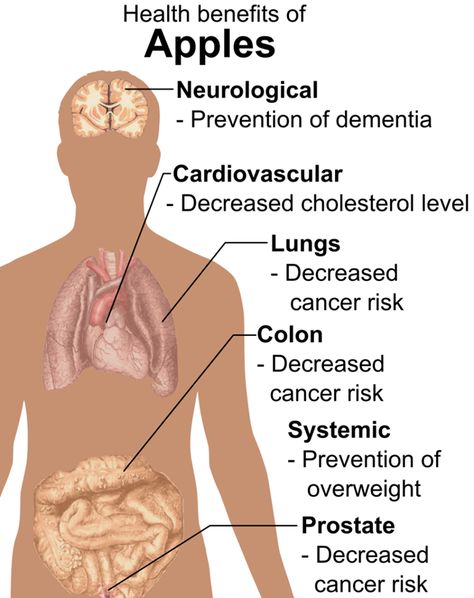 Health Benefits of Apples -- Pear Benefits, Health Benefits Of Apples, Benefits Of Apples, Apple Benefits, Fruit Benefits, Think Food, Healing Food, Granny Smith, The Human Body
