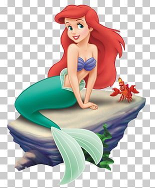 Ariel Cartoon, Ariel Sebastian, Princesa Ariel Disney, Disney Princess Png, Little Mermaid Characters, Disney Png, Mermaid Cartoon, Rapunzel Disney, Disney Princess Cartoons