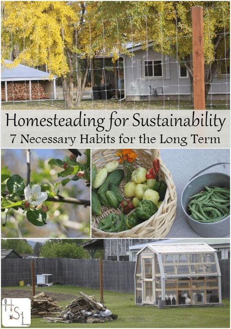 Homesteading for the long term requires some unique skills & the attitude to make it work, it's all about homesteading for sustainability. Urban Homesteading, Homestead Survival, Homesteading Diy, Homestead Farm, Homestead Gardens, Homesteading Skills, Mini Farm, Living Off The Land, Backyard Farming