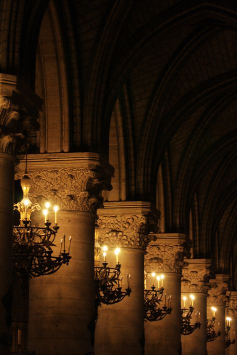 Notre-Dame A Night At The Opera, I Love Paris, Dark Academia Aesthetic, Gothic Architecture, Favorite City, City Lights, 그림 그리기, Dark Aesthetic, Beauty And The Beast