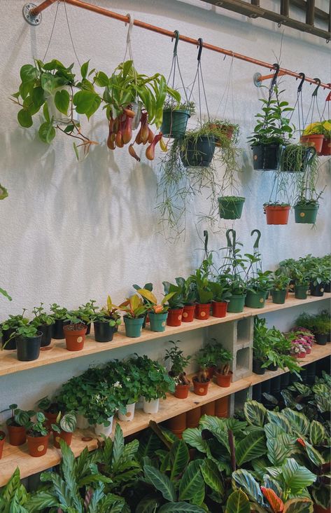 Plant Collection Aesthetic, Plant Nursery Aesthetic, Plant Store Aesthetic, Greenhouse Goals, Plant Mom Aesthetic, Earthy Vibes, Flower Road, Backyard Plants, Backyard Greenhouse