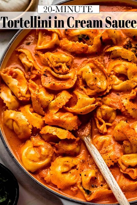 Tortellini With Tomato Cream Sauce, Red Sauce Tortellini, Vodka Sauce Tortellini Recipes, Tortellini Marinara Recipes, 5 Cheese Tortellini Sauce, Cheese Tortellini With Marinara Sauce, Tortellini Pasta Aesthetic, Marinara Cream Sauce, Sauce For Tortellini Pasta