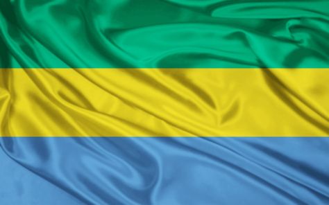 Gabon Flag, Arctic Monkeys Wallpaper, Monkey Wallpaper, International Flags, Central Africa, Avengers Wallpaper, Wallpapers Images, Superhero Wallpaper, Wallpaper Gallery