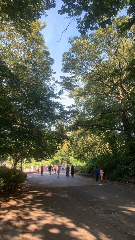 path in a park with trees Walks In The Park, Walk In Park, Walking In The Park, Birthday Plans, Oil Platform, Outdoor Park, Birthday Planning, Walk In The Park, Long Walks