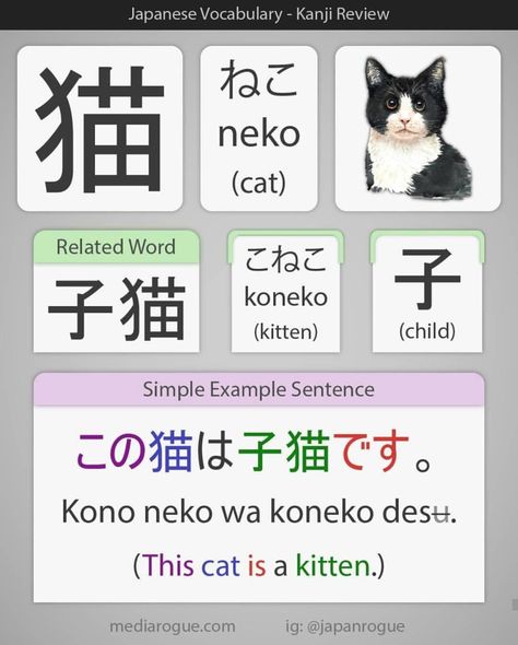 Cat In Japanese, Learn Japan, Language Journal, Bahasa Jepun, Materi Bahasa Jepang, Mandarin Chinese Learning, Basic Japanese Words, Japanese Language Lessons, Foreign Words