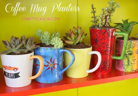 Coffee Mug Planters! Great way to recycle cute cups and use them as patio decor! http://www.craftychica.com/site/2014/06/coffee-mug-planters/?utm_campaign=coschedule&utm_source=pinterest&utm_medium=Kathy%20Cano-Murillo%2C%20The%20Crafty%20Chica%20(Crafty%20Chica%20Tutorials)&utm_content=Coffee%20Mug%20Planters Mug Planters, Coffee Mug Crafts, Garden Cactus, Mug Crafts, Ways To Recycle, Work Diy, Cute Coffee Mugs, How To Make Coffee, Beautiful Coffee