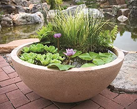 Aquascape 98854 Aquatic Patio Pond, 24-Inch, Desert Granite : Amazon.ca: Patio, Lawn & Garden Patio Planters Diy, Small Backyard Ponds, Backyard Fence Decor, Raised Vegetable Garden, Garden Ideas Backyard, Diy Container Gardening, Container Water Gardens, Diy Container, Fountain Pond