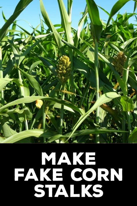 How to Make Fake Corn Stalks Corn Stalk Halloween Decorations, Diy Corn Field Decoration, Diy Fake Hay Bales, How To Make Corn Stalks, Diy Paper Cornstalks, Corn Shocks Ideas, Diy Cornstalk Decorations, Fake Corn Stalks Diy, Decorating With Indian Corn