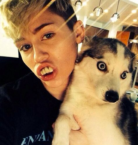 #MileyCyrus, Miley Cyrus #teeth, Miley, #Instagram Chris Brown, Rita Ora, Humour, Face Swap Fails, Crazy Celebrities, Celebrity Selfies, Face Swaps, Candid Photography, Dog Face