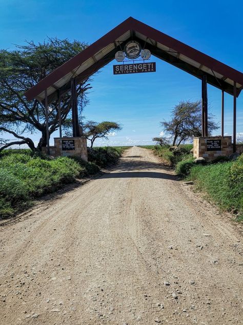 A safari in the Serengeti is a must do travel bucket list expereince! To check out what we saw, visit our blog :) Serengeti Safari, Safari Resort, Vbs Decorations, Mount Meru, Africa Vacation, Fake Photos, Serengeti National Park, Visit Places, Vision Board Images