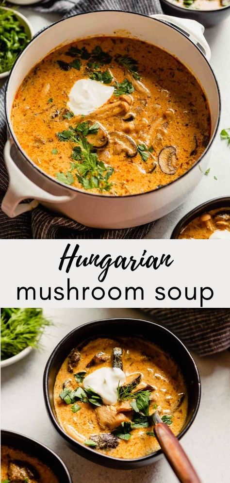 Hungarian Mushroom, Hungarian Mushroom Soup, Soup Appetizers, Mushroom Soup Recipes, Fall Soups, Cozy Meals, Mushroom Soup, Mushroom Recipes, Grocery List