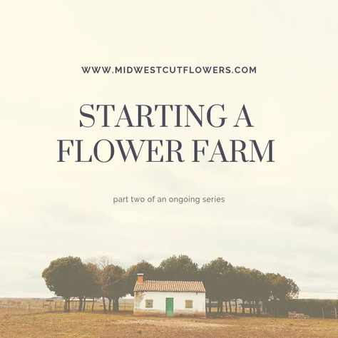 Cut Flower Farm, Farm Plans, Farm Business, Flower Business, Market Garden, Beautiful Farm, Flower Farmer, Cut Flower Garden, Lavender Farm