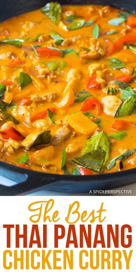 Panang Chicken, Red Chicken Curry, Panang Curry Recipe, Thai Curry Recipes, Thai Chicken Curry, Kari Ayam, Curry Recipes Easy, Red Curry Chicken, Panang Curry