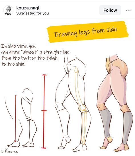 Leg Anatomy, Body Type Drawing, Female Anatomy Reference, Anime Fyp, Drawing Legs, Man Anatomy, Sketching Tips, Body Drawing Tutorial, Human Anatomy Drawing