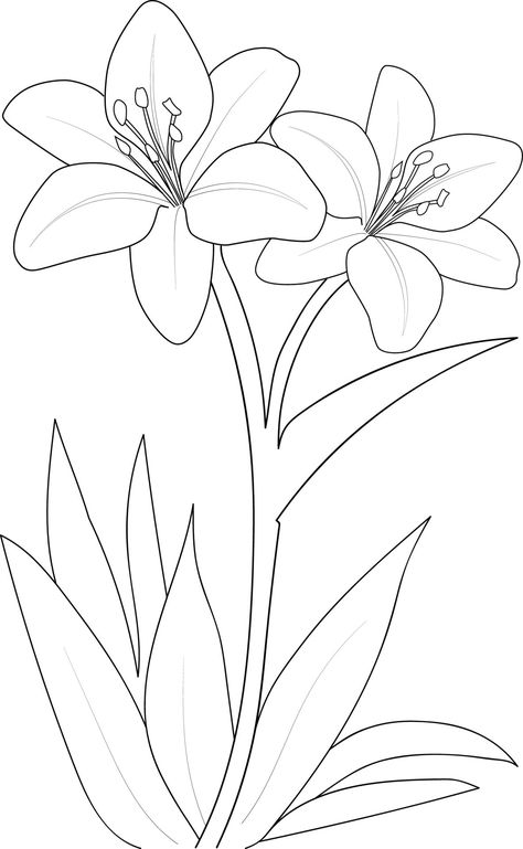 Leaf Vector Illustration, Leaves Sketch, Lilies Drawing, Leaf Vector, Flower Pattern Drawing, Line Art Flowers, Botanical Line Drawing, Creation Art, Leaf Drawing