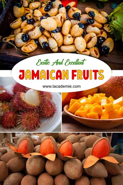 Jamaican fruits offer a range of flavors and textures, including ackee, breadfruit, guava, mango, papaya, and plantain. Enjoy them fresh or cooked in Jamaican cuisine. Jamaican Fruits, Fruit Paradise, Sour Orange, Jamaican Cuisine, Star Apple, Fruit Cups, Jamaican Recipes, Exotic Fruit, Savoury Dishes