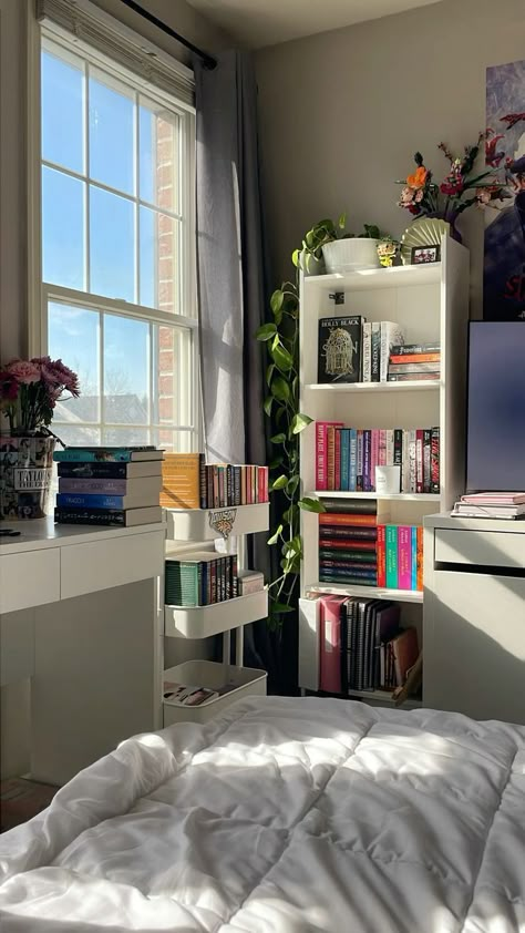 Desk, Bedroom, Bed