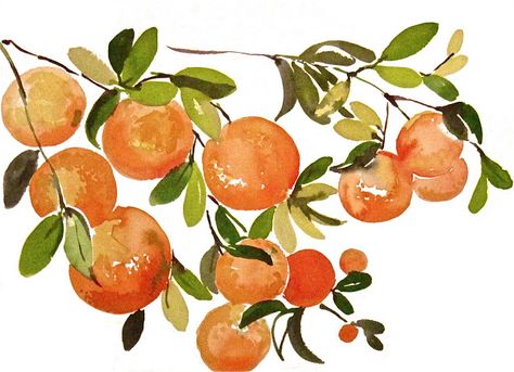 another LOOK: Orange Branches - watercolor fruit by Gretchen Kelly Orange Watercolor, Wall Decor Kitchen, Orange Painting, Watercolor Fruit, Original Watercolor Art, Fruit Illustration, Fruit Painting, My Art Studio, Orange Tree