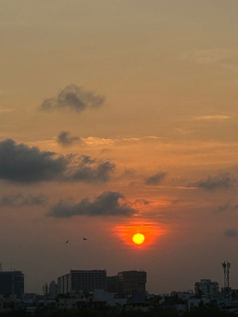 #sunset #sun #building #evening #pictures #picturesque #aesthetic #views #terrace #photography #birds #chennai #crows Terrace Aesthetic, Picturesque Aesthetic, Aesthetic Views, Evening Pictures, Sun Aesthetic, Sunset View, Diy Canvas Art Painting, Sunset Views, Diy Canvas Art