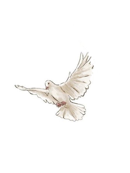 Confirmation Art Ideas, Dove Watercolor Painting, Cute Dove Drawing, Drawings Of Doves, How To Draw A Dove, Catholic Watercolor Art, Watercolor Christian Art, Doves Drawing, Faith Drawings