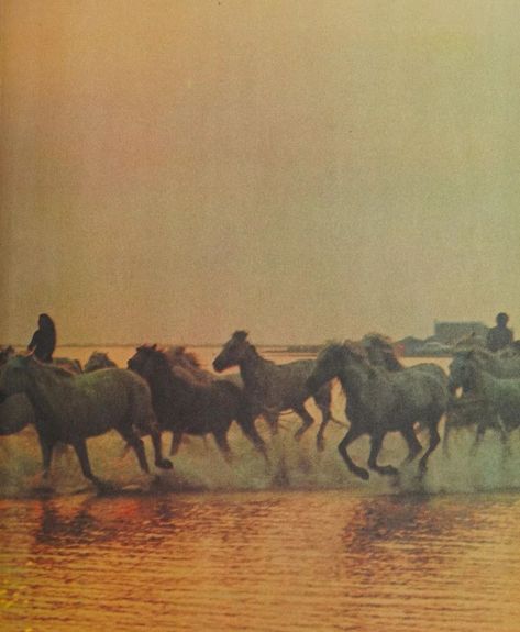 Western Sunset, 70s Western, Cowboy Aesthetic, Wilde Westen, Horse Aesthetic, Western Aesthetic, Vintage Cowboy, New Rock, Vintage Horse