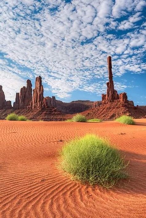 Photography Scenery, Monument Valley Arizona, Sonora Desert, Arizona Photography, Arizona Travel, The Desert, Amazing Nature, Nature Pictures, Nature Photos