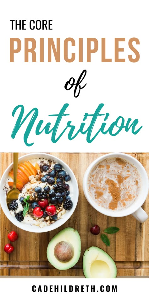 Nutrition is essential to all types of health and wellness, from physical to emotional. Unfortunately, you can’t out-train a bad diet, which is why it’s essential to learn the principles of nutrition.  While many people make nutrition out to be complicated, the core principles of nutrition are simple and learnable. Improve Nutrition, Bad Diet, Best Fat Burning Foods, Nutrition Guide, Holistic Nutrition, Proper Nutrition, Nutrition Plans, Healthy Nutrition, Health Diet