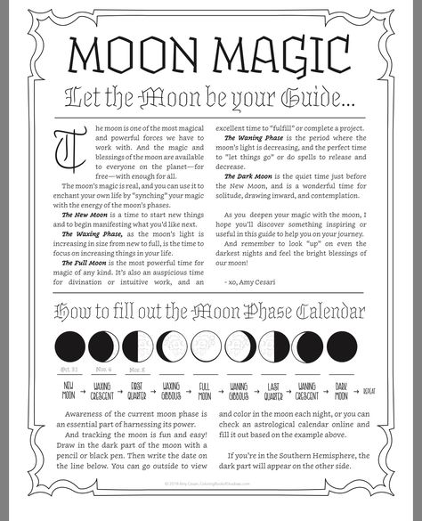 New Years Witchcraft, Phase Of The Moon, Lunar Magic, Moon Magick, Moon Rituals, Moon Reading, Wiccan Magic, New Moon Rituals, Moon Journal