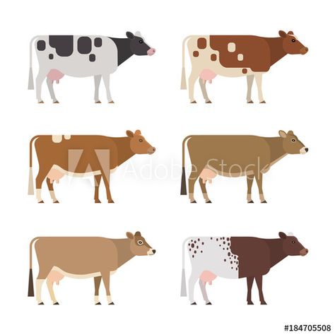 Stock Image: Set of six different breeds and colors dairy cows, isolated on white background. Cow Logo, Graphic Cow, Cow Vector, Cow Illustration, Cow Photos, Cow Pictures, Cowboy Birthday, Dairy Cows, Cow Painting