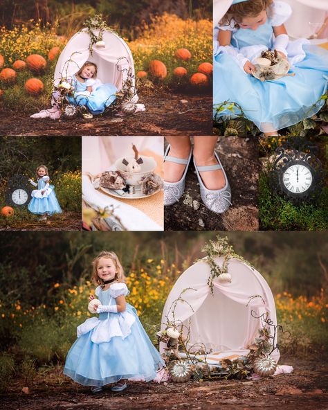 Princess Birthday Photoshoot Photo Ideas, Disney Theme Photoshoot, Cinderella Baby Photo Shoot, Cinderella Photoshoot Ideas, Birthday Photoshoot Ideas Kids, Photo Sessions Ideas, Iron Dog Bed, Disney Princess Photoshoot, Cinderella Photoshoot