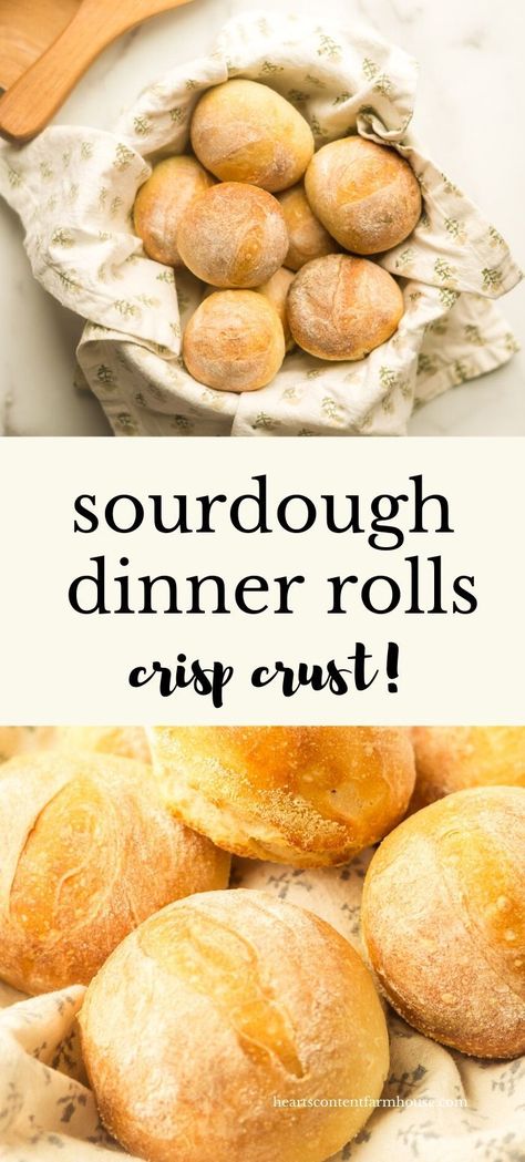 Sustainable Cooking, Dough Starter Recipe, Sourdough Dinner, Sourdough Dinner Rolls, Easy Sourdough Bread Recipe, Recipe Using Sourdough Starter, Sourdough Rolls, Sourdough Starter Discard Recipe, Homemade Sourdough Bread